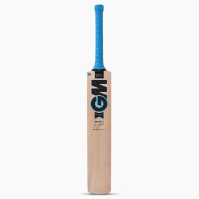 Diamond Select Kashmir Willow Cricket Bat